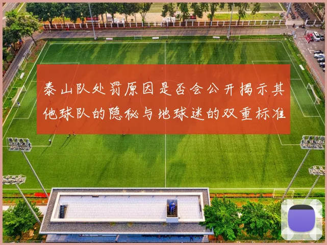 泰山队处罚原因是否会公开揭示其他球队的隐秘与地球迷的双重标准