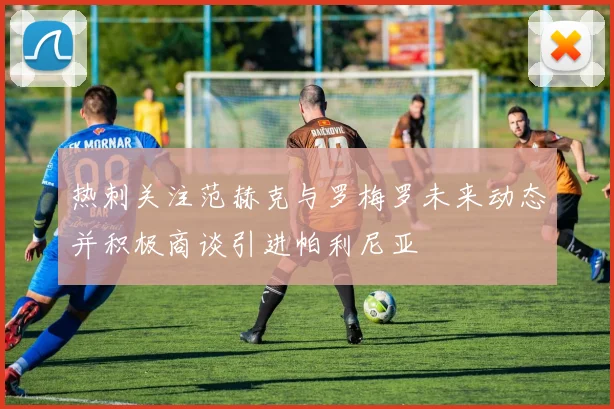 热刺关注范赫克与罗梅罗未来动态并积极商谈引进帕利尼亚