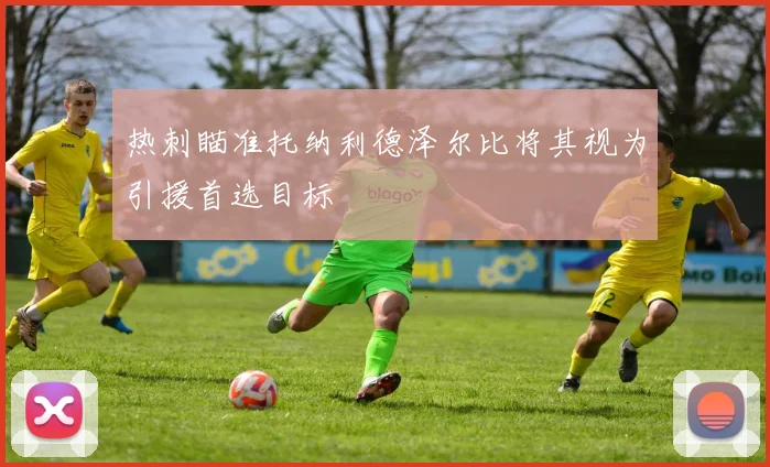 热刺瞄准托纳利德泽尔比将其视为引援首选目标